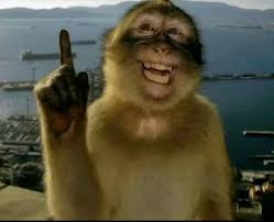 Site hosted by Neocities